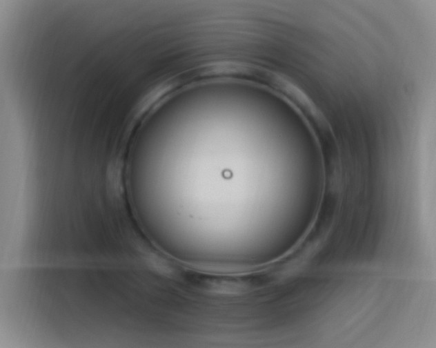 X0000113900786200910011342