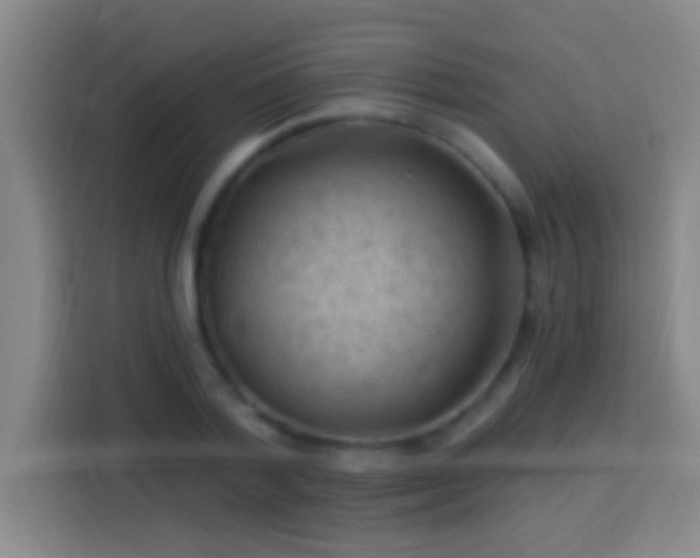 X0000113900788200910011342