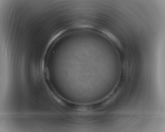 X0000113900790200910011342