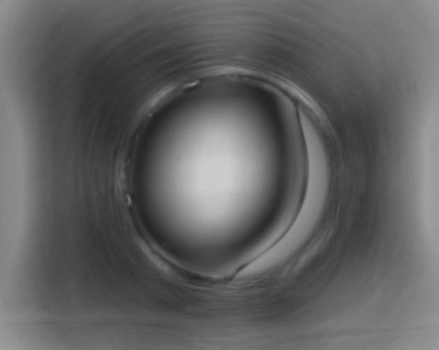 X0000113900793200910011342