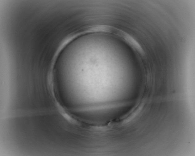 X0000113900800200910011341