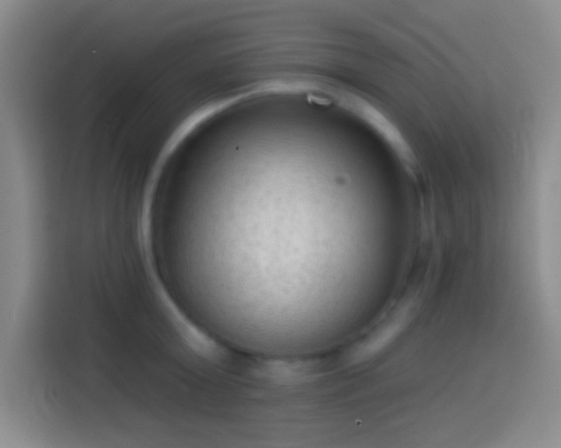 X0000113900803200910011341