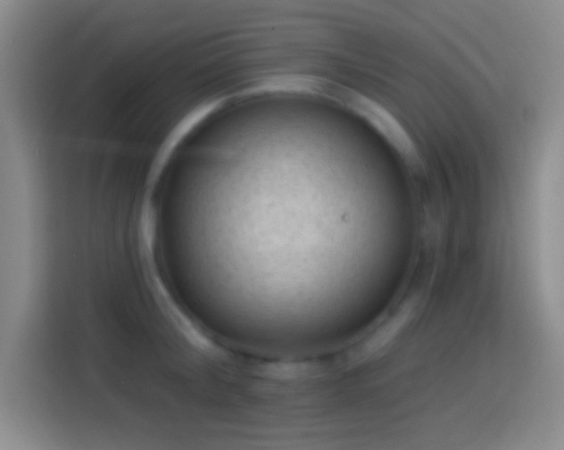 X0000113900804200910011341