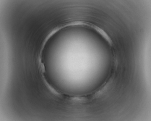 X0000113900805200910011341