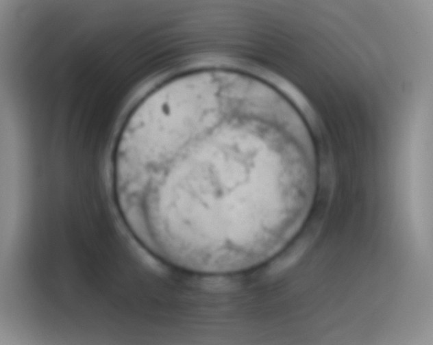 X0000113900807200910011341