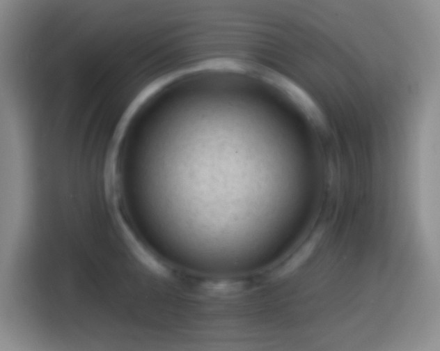 X0000113900808200910011341