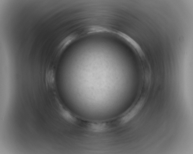 X0000113900809200910011341