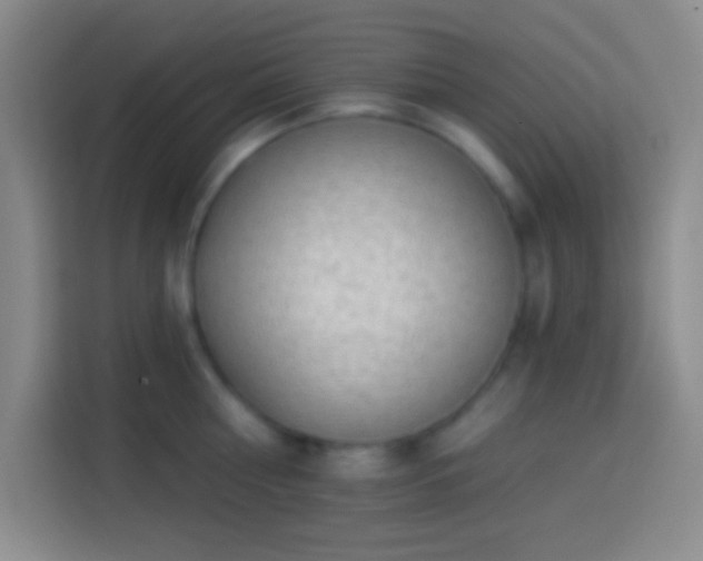 X0000113900810200910011341