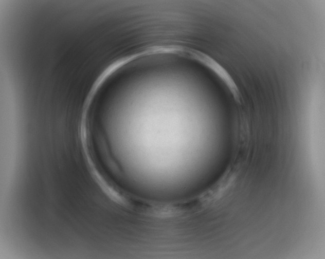 X0000113900811200910011341