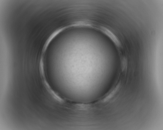 X0000113900812200910011341