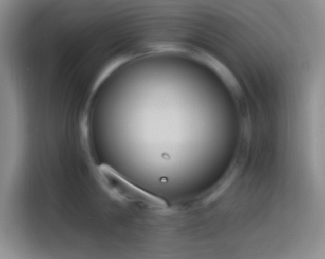 X0000113900814200910011341