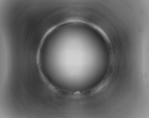 X0000113900815200910011341