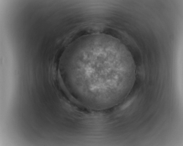 X0000113900818200910011341