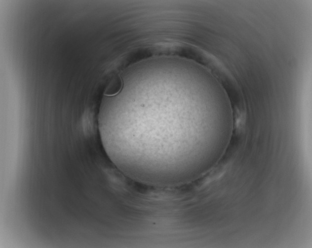 X0000113900819200910011341