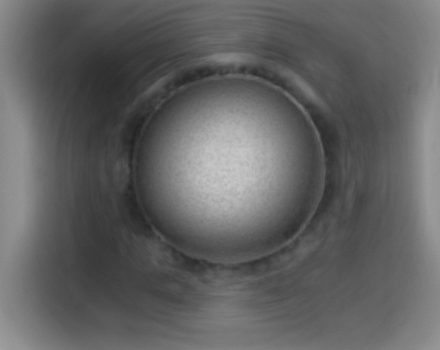 X0000113900821200910011341