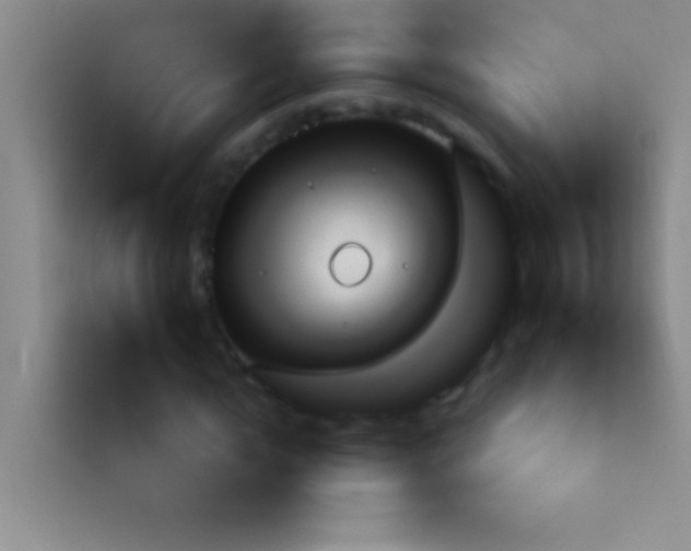 X0000113900822200910011341