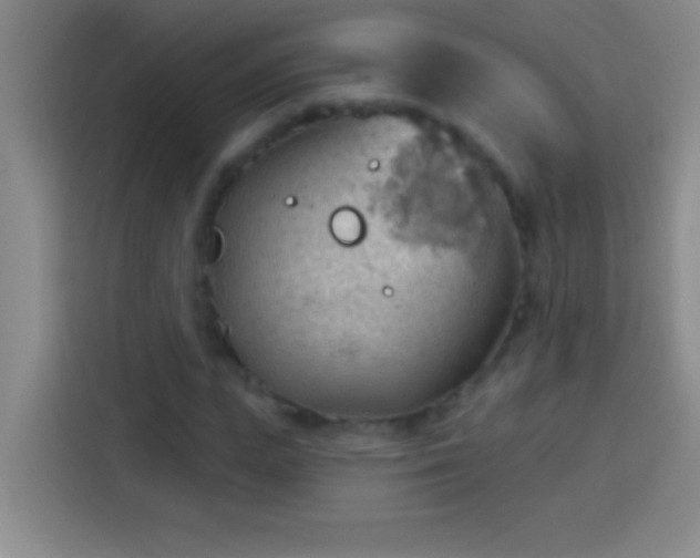 X0000113900823200910011341