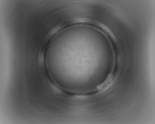 X0000113900825200910011341