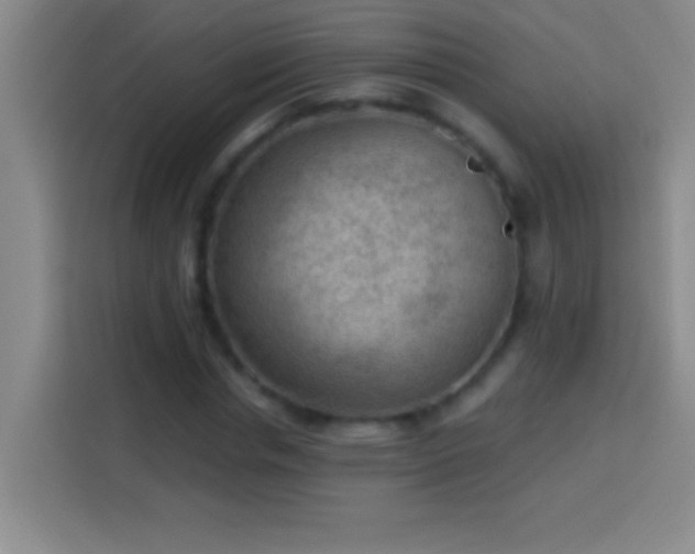 X0000113900826200910011341