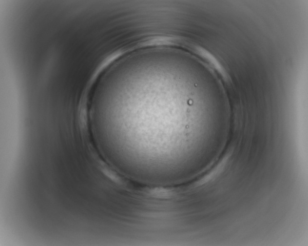 X0000113900827200910011341