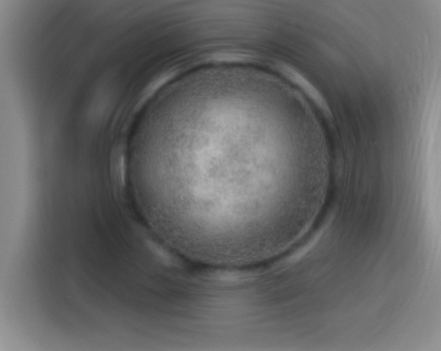 X0000113900829200910011341