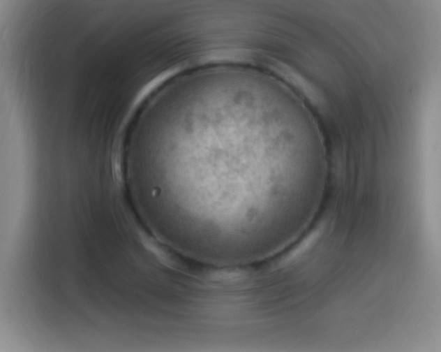 X0000113900830200910011341