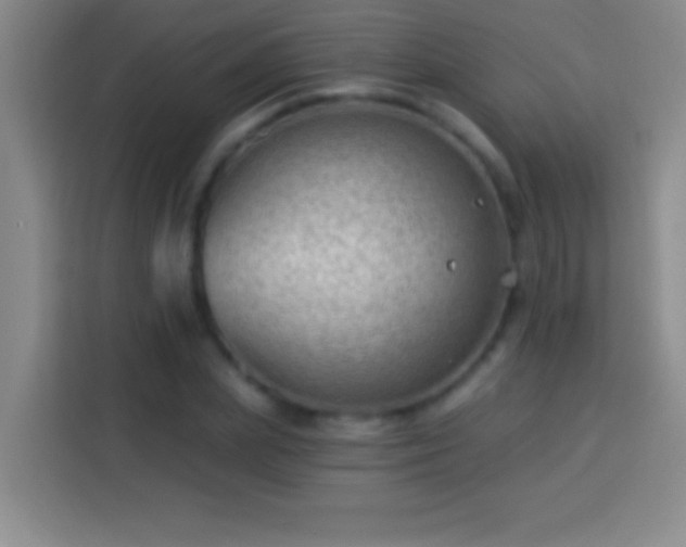 X0000113900831200910011341