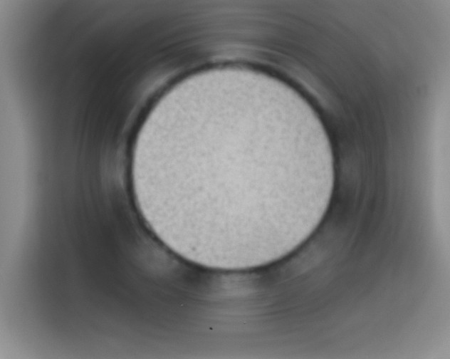 X0000113900832200910011341