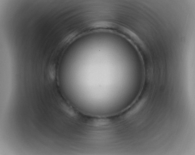 X0000113900833200910011341