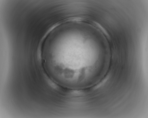 X0000113900835200910011341