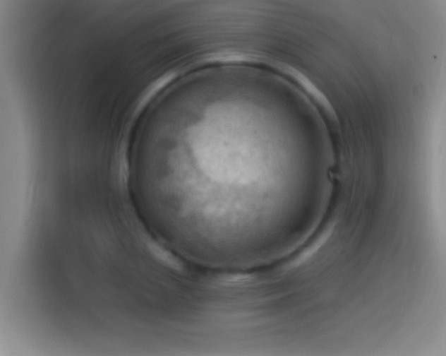 X0000113900837200910011341