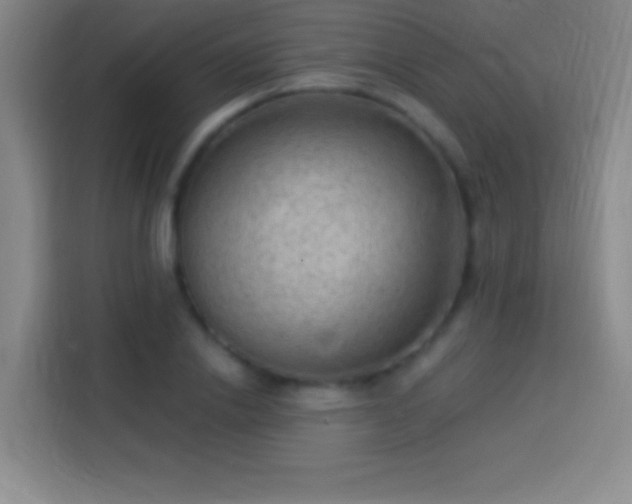 X0000113900838200910011341