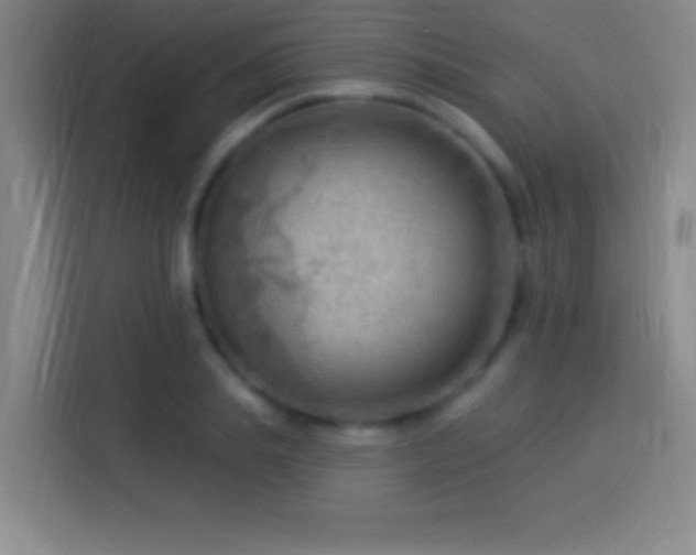 X0000113900839200910011341