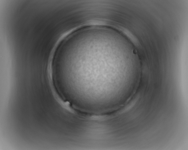 X0000113900840200910011341