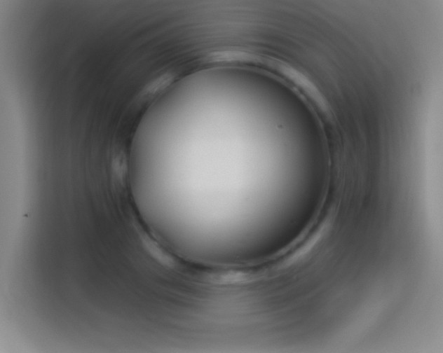 X0000113900841200910011341