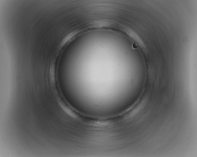 X0000113900842200910011341