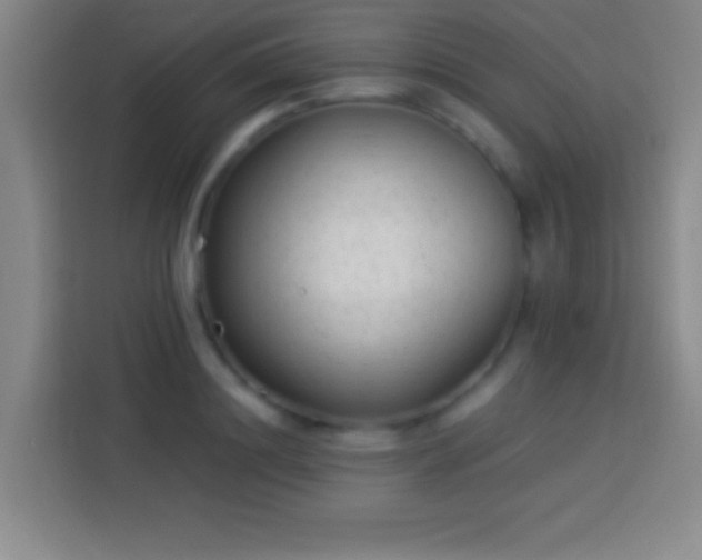 X0000113900844200910011341