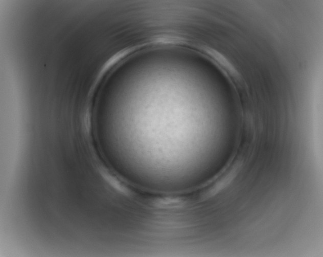 X0000113900846200910011341