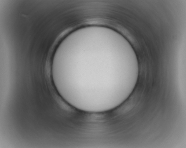 X0000113900848200910011341