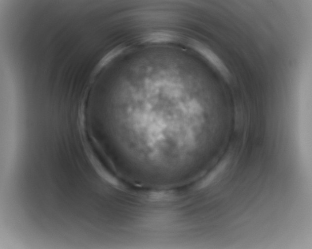 X0000113900850200910011341