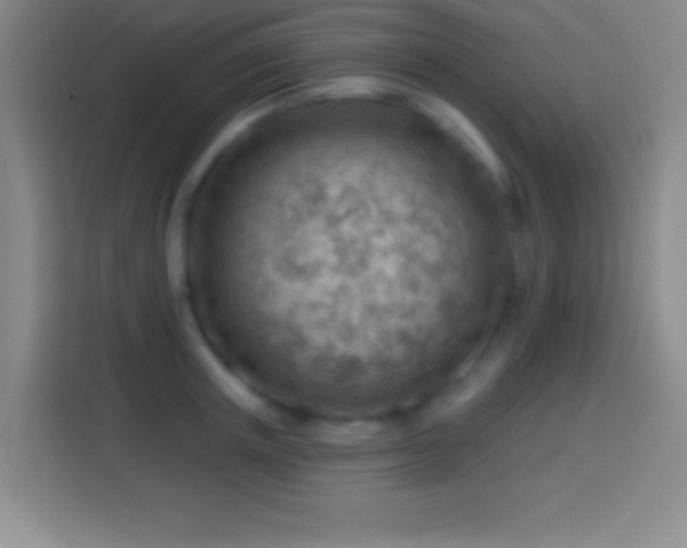 X0000113900851200910011341