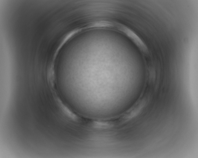 X0000113900852200910011341