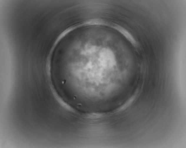 X0000113900854200910011341