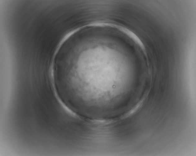 X0000113900855200910011341