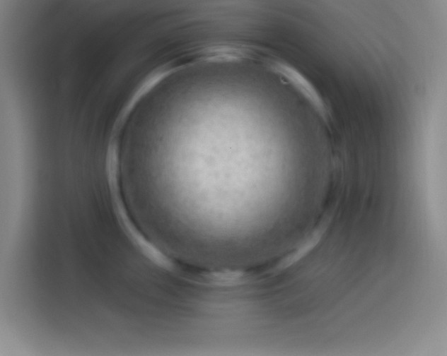 X0000113900859200910011341