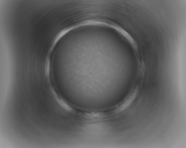 X0000113900862200910011341