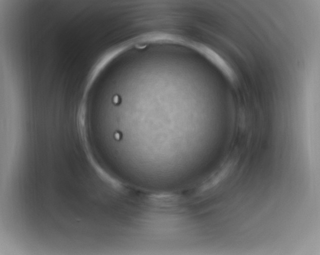 X0000113900863200910011341