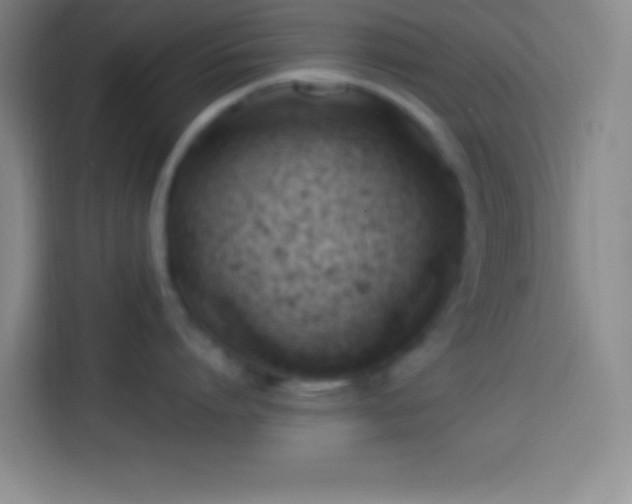 X0000113900864200910011341