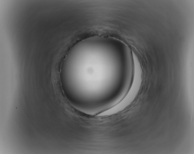 X0000113900865200910011341