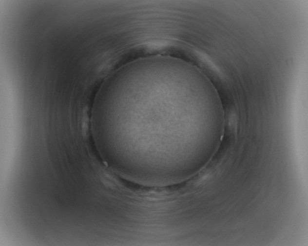 X0000113900868200910011341